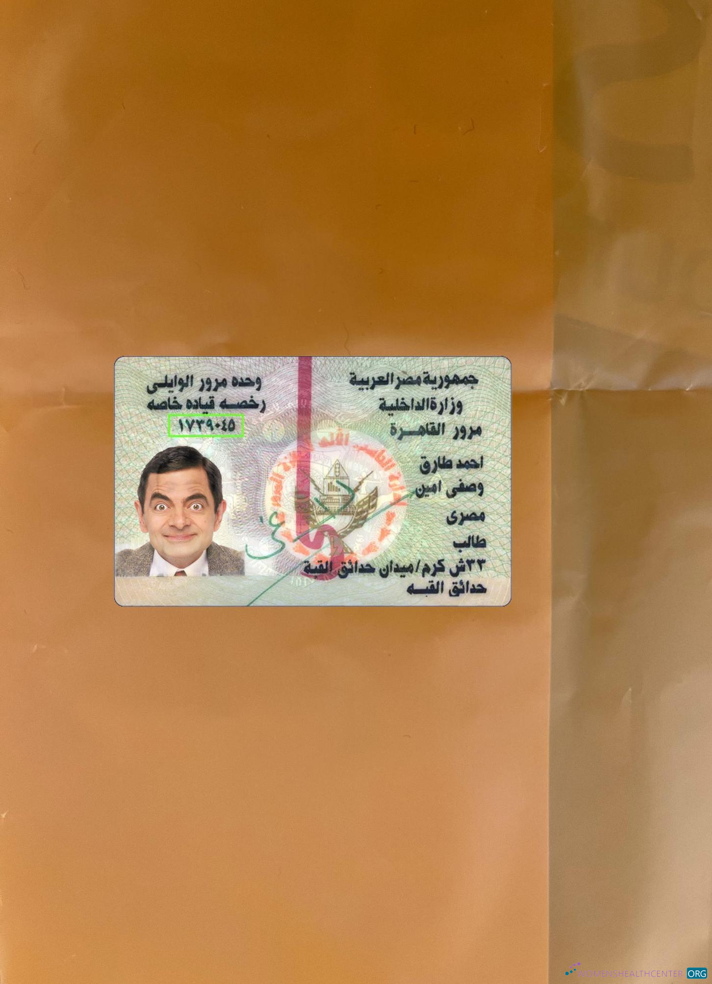 Профессиональный Скачать Египет ID Версия 2 Фотоэффект Лицевая Сторона Photoshop Шаблон