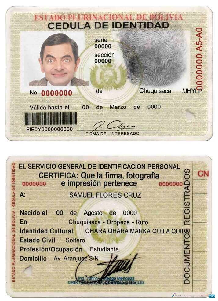 Профессиональный Скачать Боливия ID Photoshop Шаблон