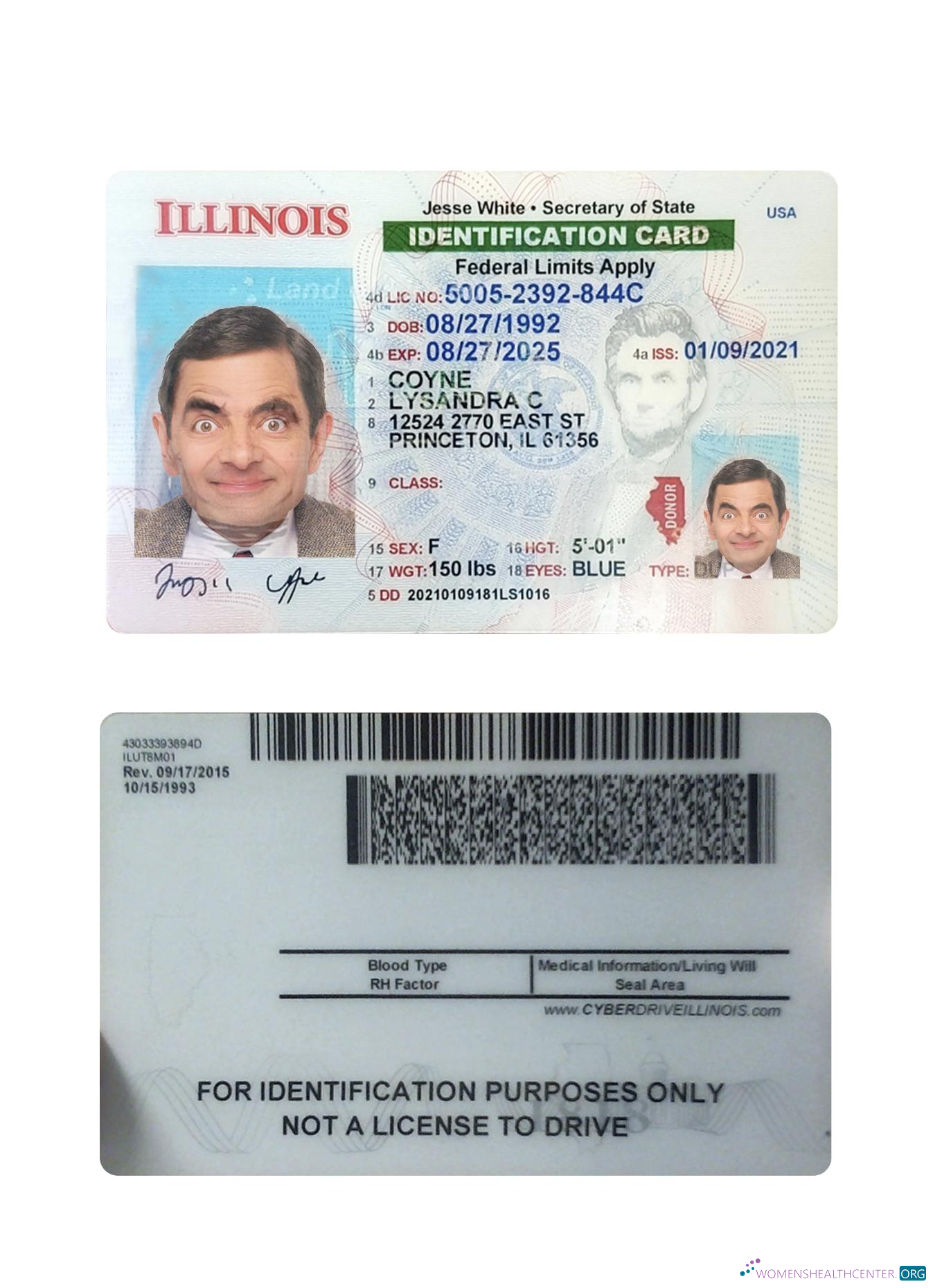 Качественный Скачать USA Illinois ID Карта Photoshop Шаблон