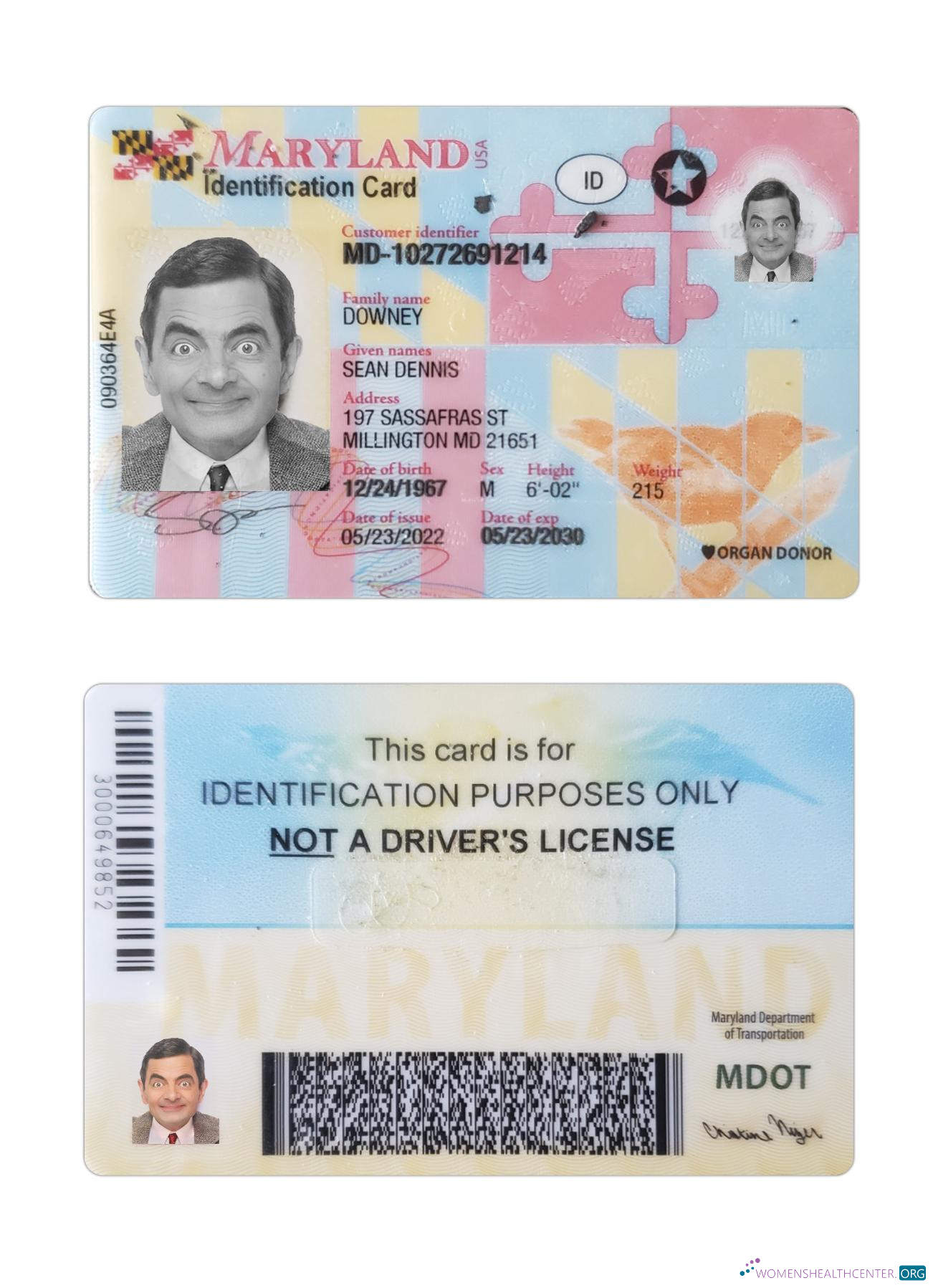 Качественный Скачать USA Maryland ID Карта Photoshop Шаблон
