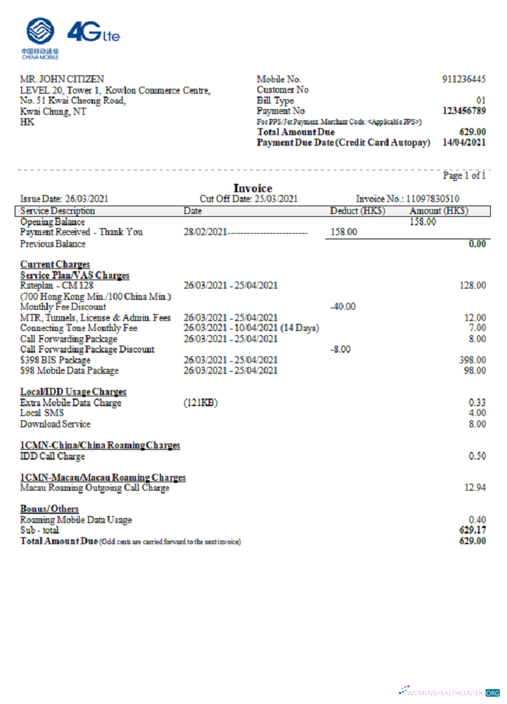Редактируемый Скачать Китай Мобильный ООО Payment Invoice Photoshop Шаблон