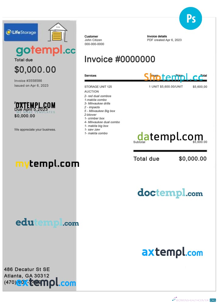 Реалистичный Скачать Life Storage Invoice Photoshop Шаблон