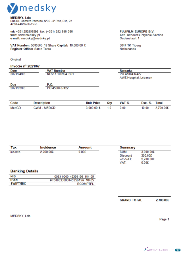 Качественный Скачать Португалия Medsky Lda Компания Invoice Photoshop Шаблон