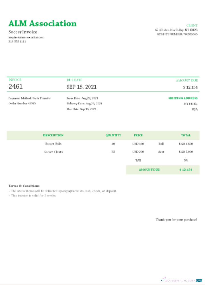 Премиум Скачать USA ALM Association Invoice Photoshop Шаблон