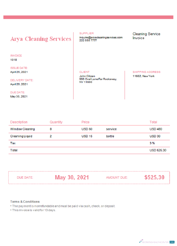 Премиум Скачать USA Arya Cleaning Services Invoice Photoshop Шаблон