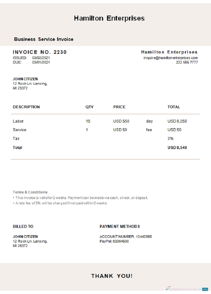 Реалистичный Скачать USA Hamilton Enterprises Invoice Photoshop Шаблон