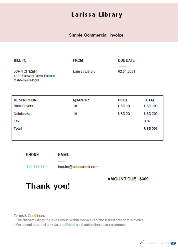 Профессиональный Скачать USA Larissa Library Invoice Photoshop Шаблон