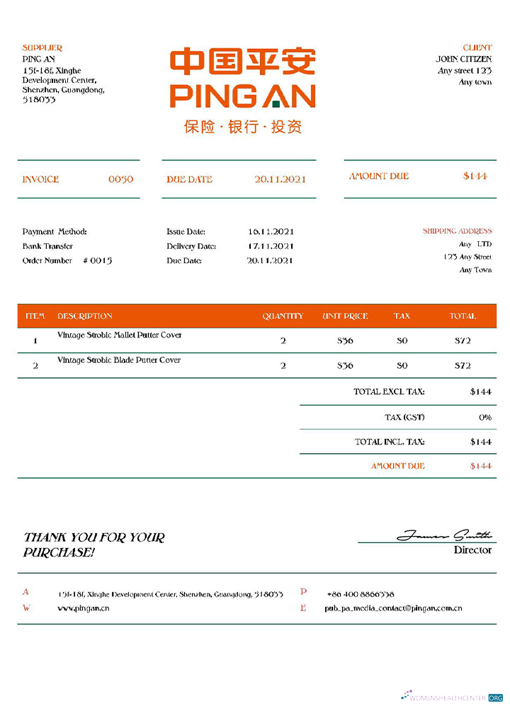 Редактируемый Скачать USA Ping An Invoice Photoshop Шаблон