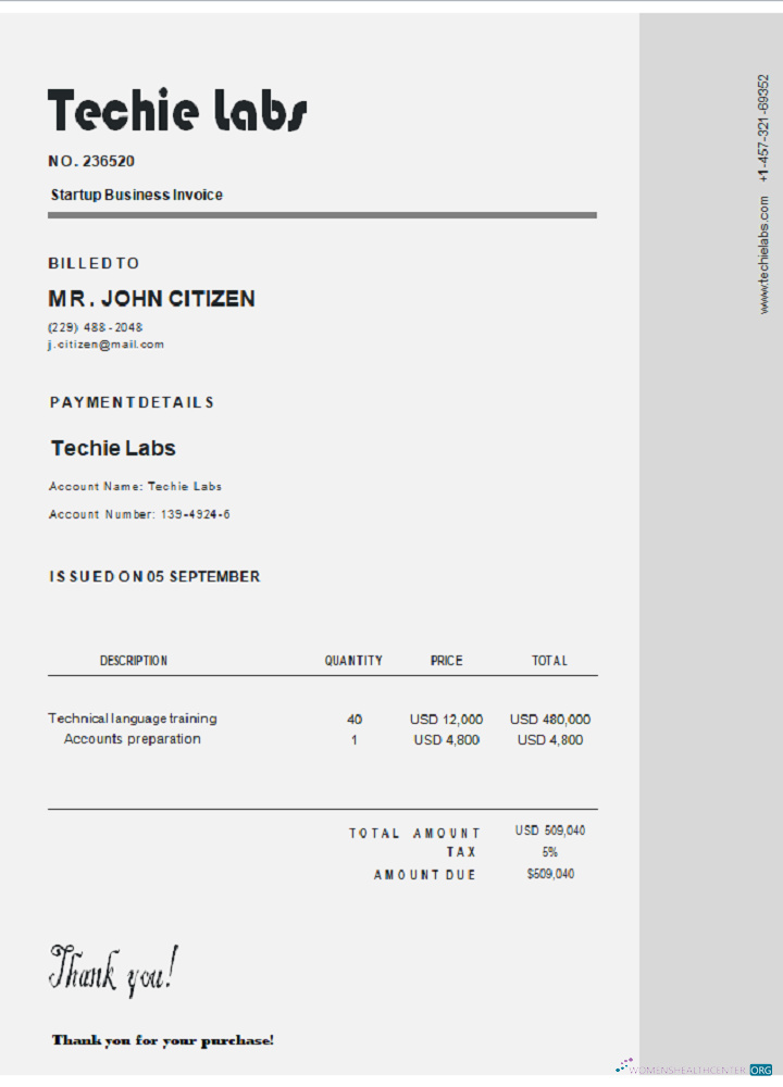 Премиум Скачать USA Techie Labs Invoice Photoshop Шаблон