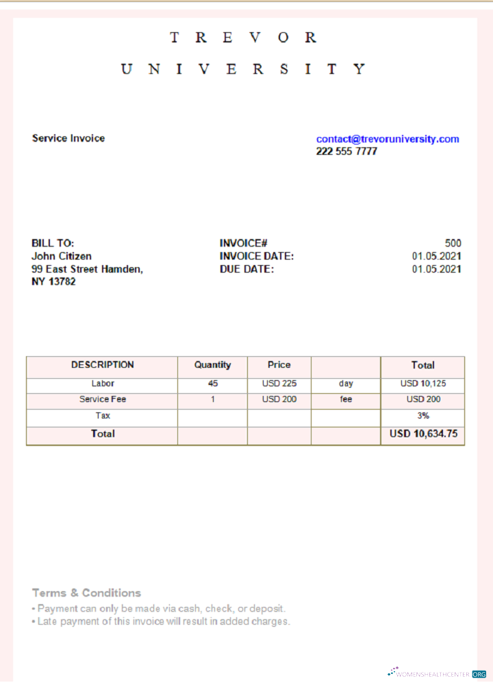 Премиум Скачать USA Trevor University Invoice Photoshop Шаблон