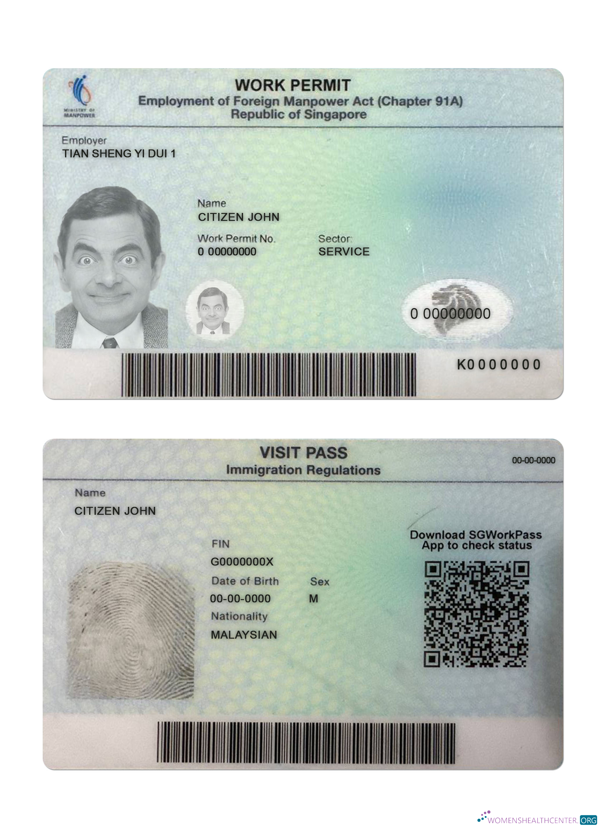 Реалистичный Скачать Сингапур Work Permit Photoshop Шаблон