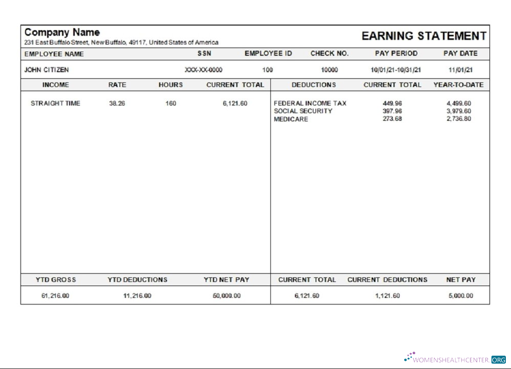 Премиум Скачать USA Michigan Pay Stub Photoshop Шаблон