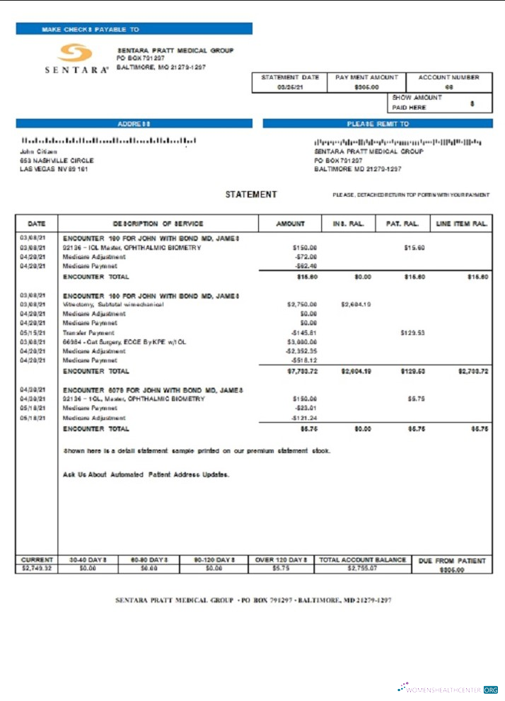 Редактируемый Скачать USA Sentara Pratt Medical Group Billing Выписка Photoshop Шаблон
