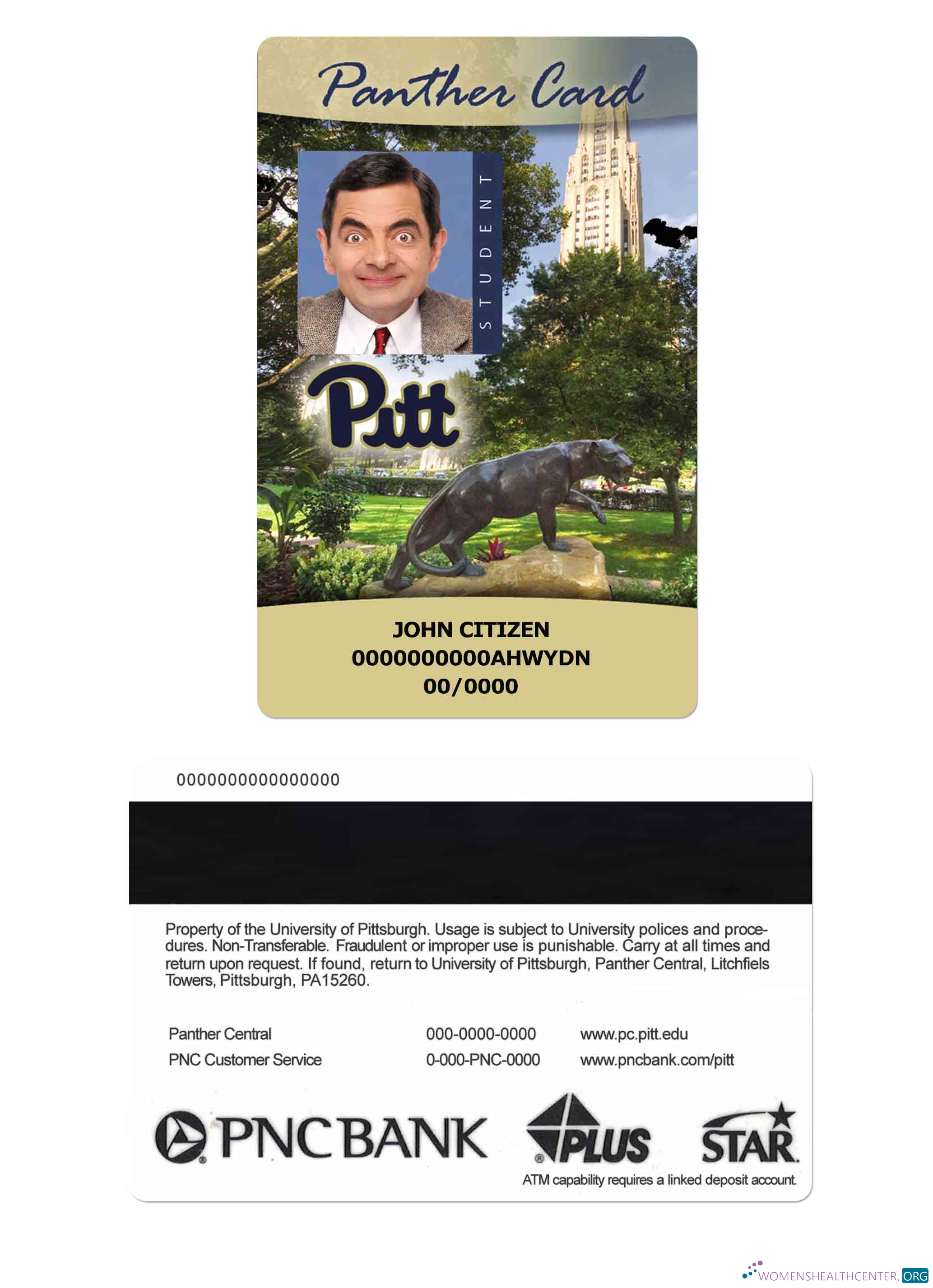 Редактируемый Скачать USA University Pittsburgh Student ID Карта, Panther Карта Photoshop Шаблон