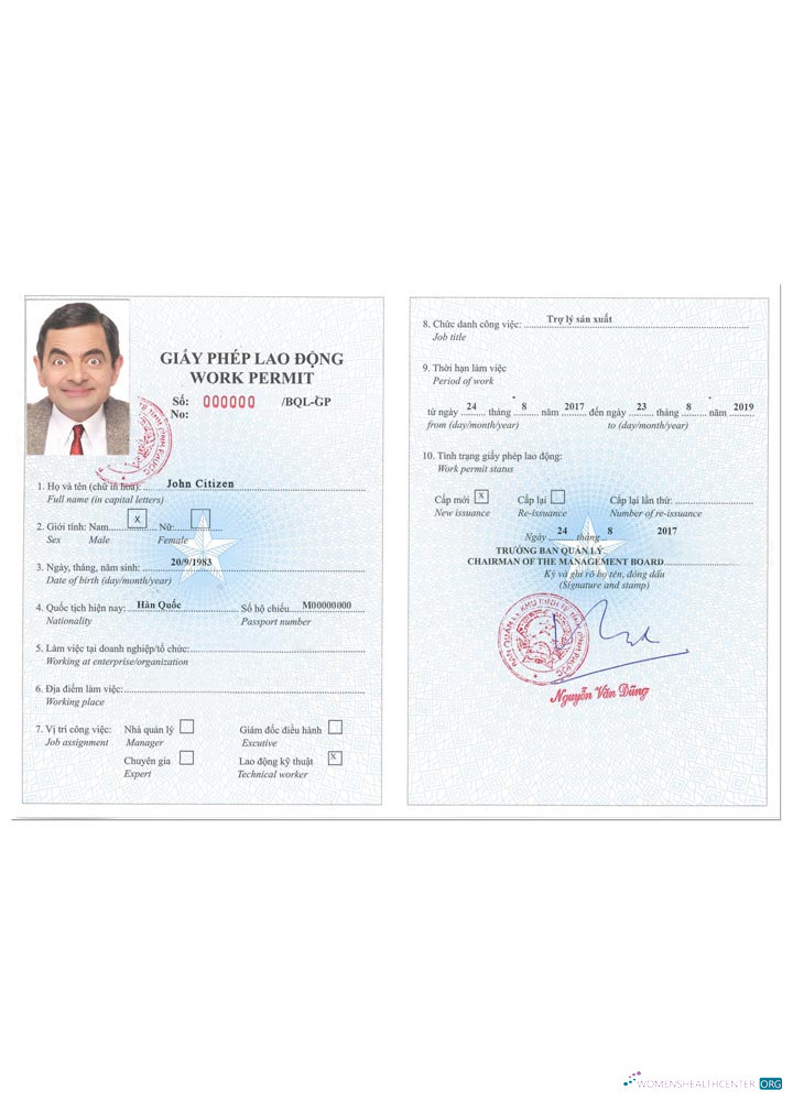 Реалистичный Скачать Вьетнам Work Permit Версия 2 Photoshop Шаблон