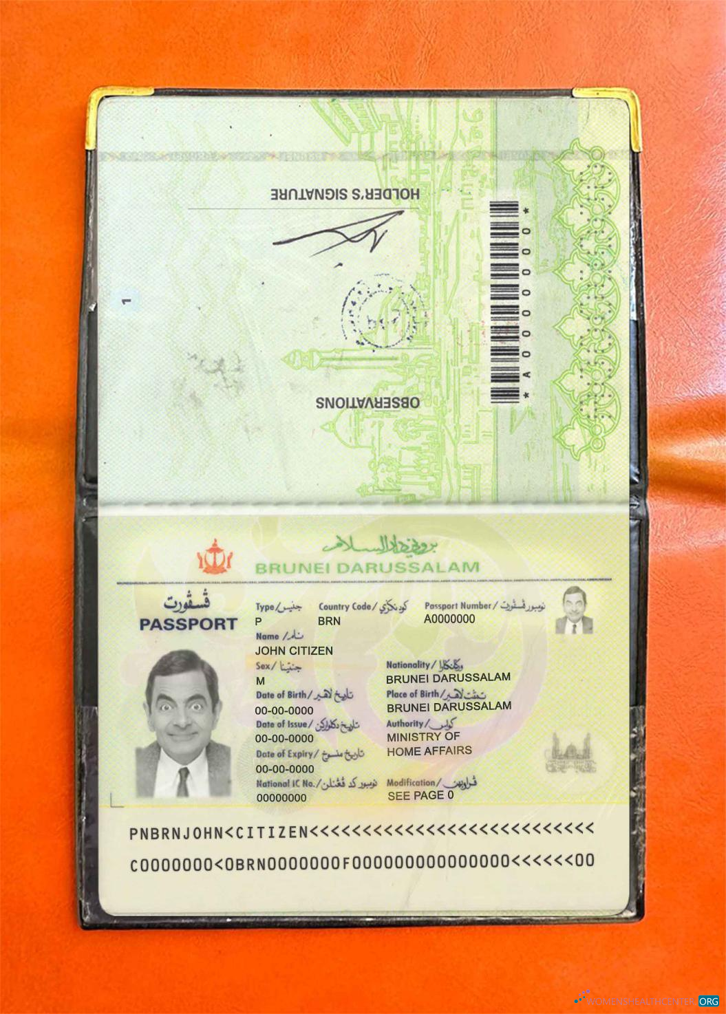 Профессиональный Скачать Бруней Pass Photo Look Photoshop Шаблон