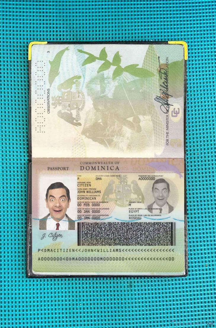 Реалистичный Скачать Dominican Паспорт Photo Look Photoshop Шаблон