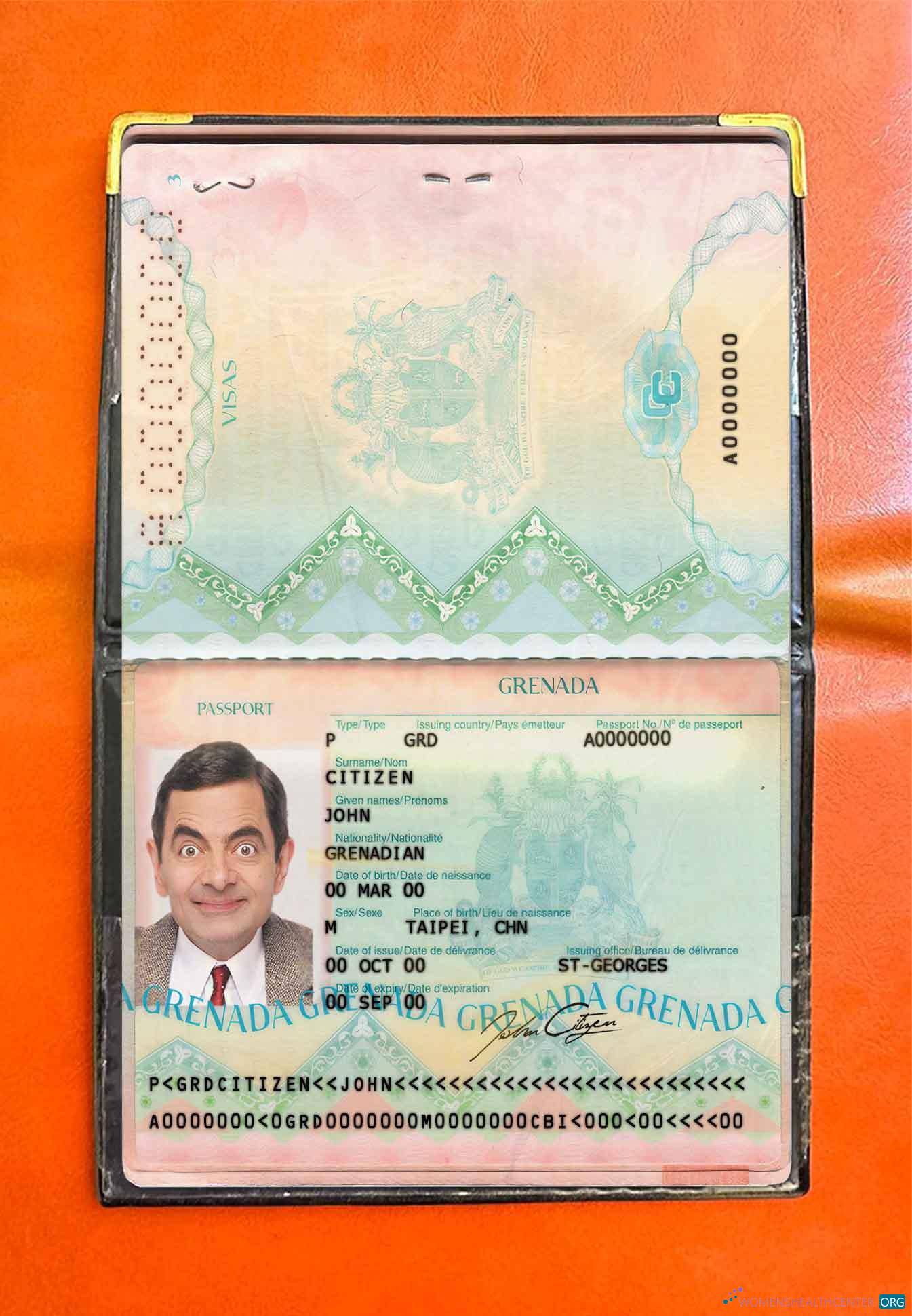 Профессиональный Скачать Гренада Pass Photo Look Photoshop Шаблон