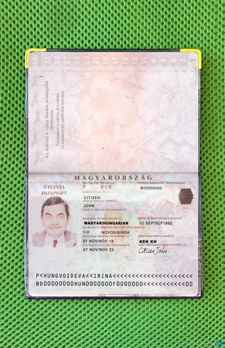 Премиум Скачать Венгрия Pass Версия 2 Photo Look Photoshop Шаблон