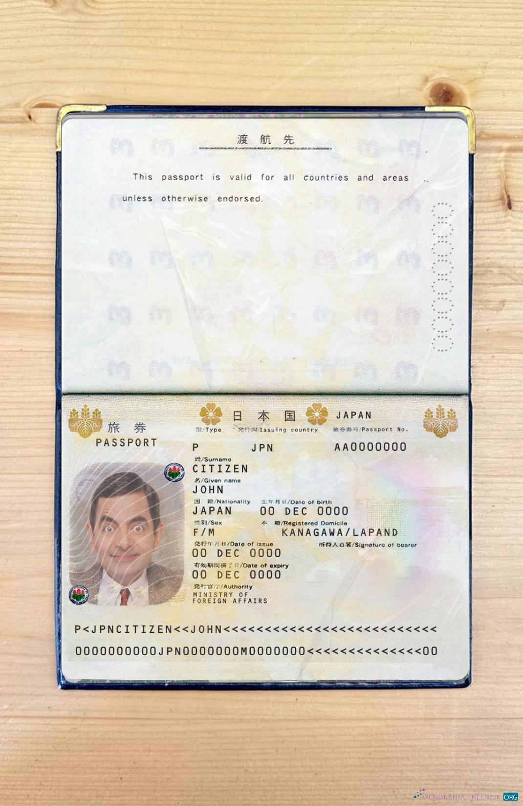 Качественный Скачать Япония Pass Photo Look Photoshop Шаблон