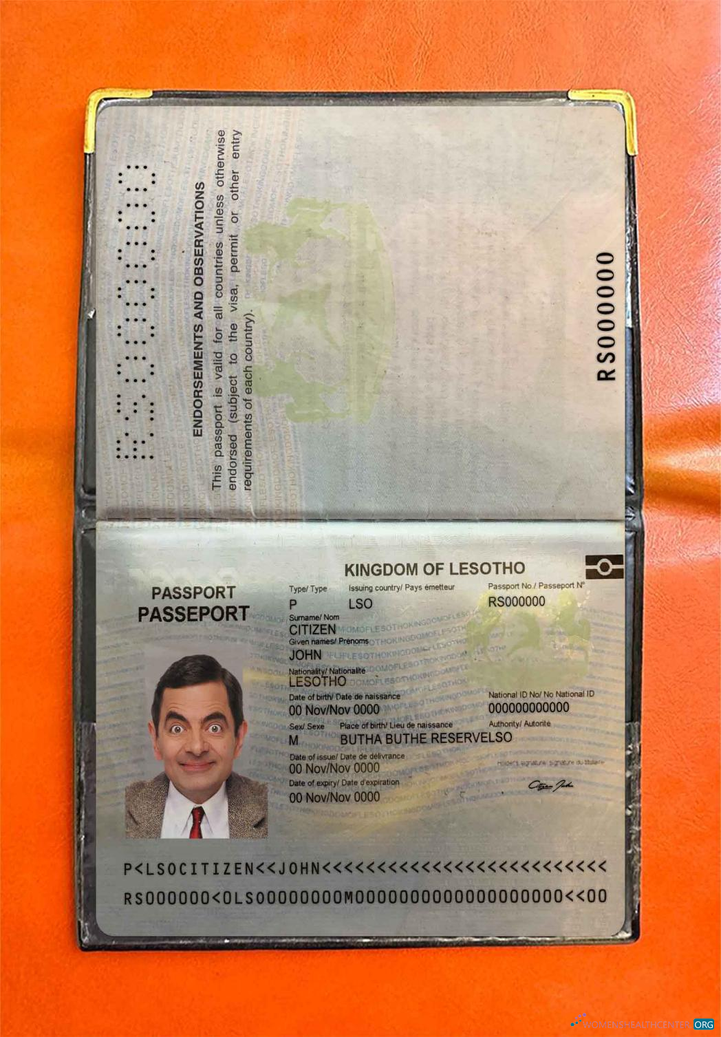 Профессиональный Скачать Лесото Pass Photo Look Photoshop Шаблон