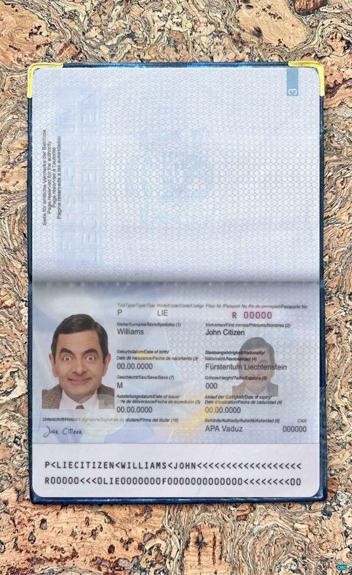 Профессиональный Скачать Лихтенштейн Pass Photo Look Photoshop Шаблон