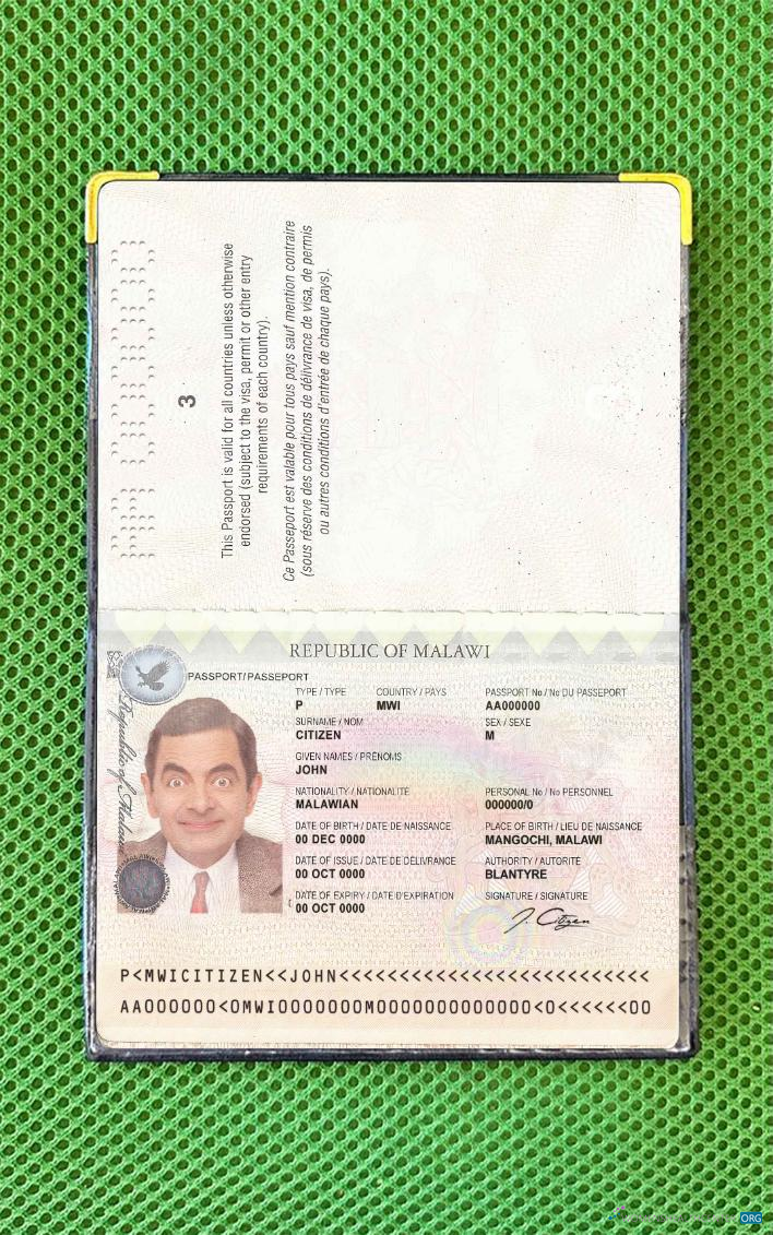 Реалистичный Скачать Малави Паспорт Photo Look Photoshop Шаблон