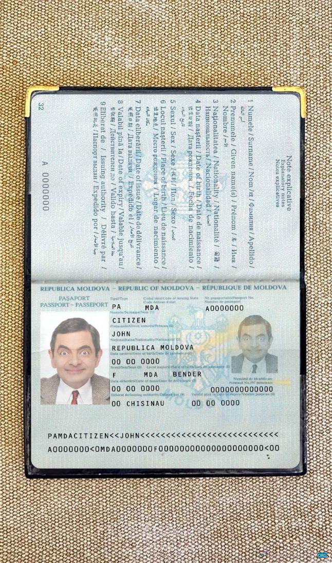 Премиум Скачать Молдова Pass Photo Look Photoshop Шаблон