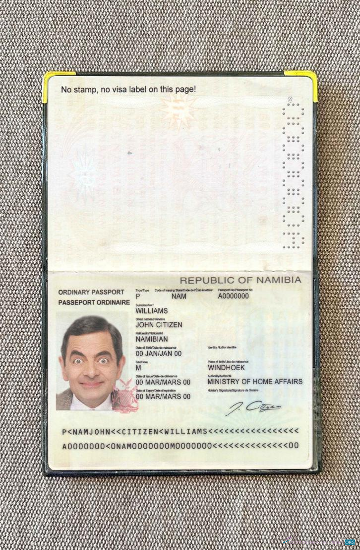 Премиум Скачать Намибия Pass Photo Look Photoshop Шаблон