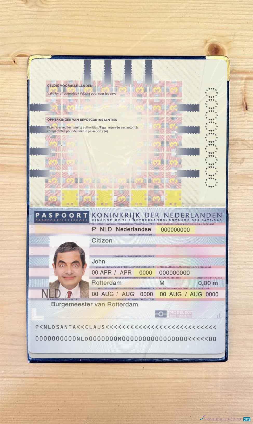 Профессиональный Скачать Нидерланды (Holland) Паспорт (2006 2016) Photo Look Photoshop Шаблон