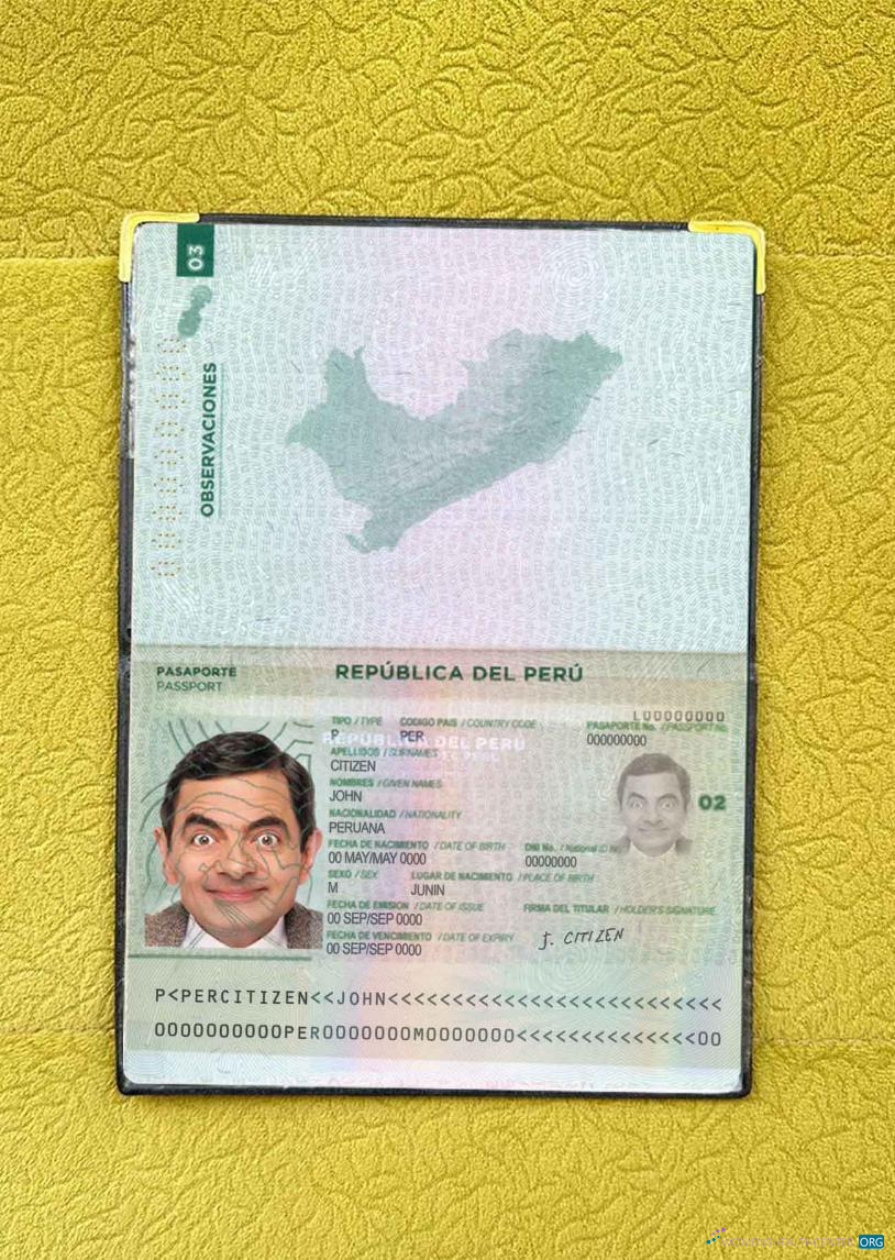 Профессиональный Скачать Перу Pass Photo Look Photoshop Шаблон