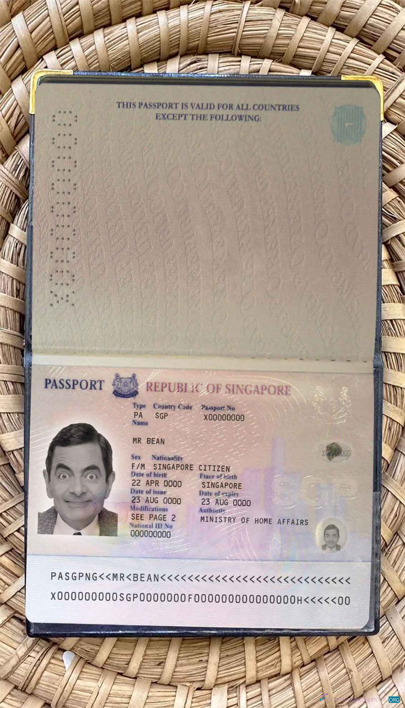 Реалистичный Скачать Сингапур Pass (2006 2017) Photo Look Photoshop Шаблон