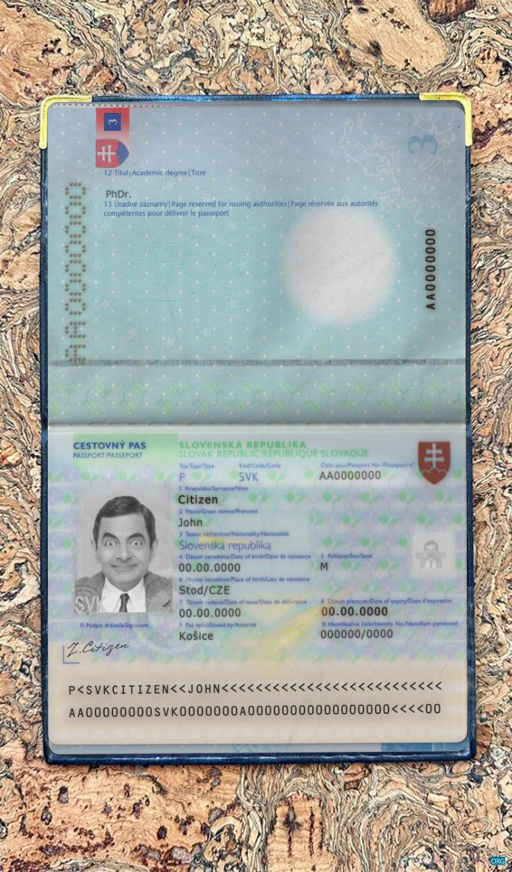 Профессиональный Скачать Словакия Pass Photo Look Photoshop Шаблон