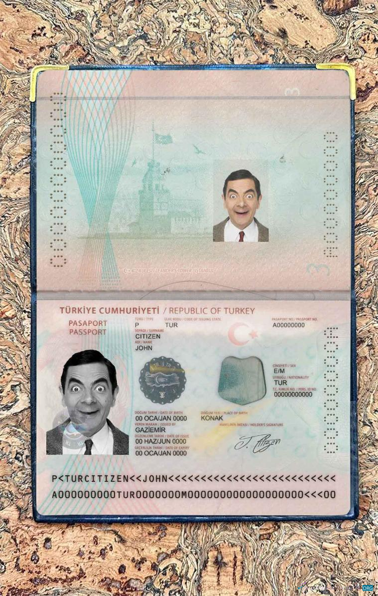 Профессиональный Скачать Турция Новый Паспорт Photo Look Photoshop Шаблон
