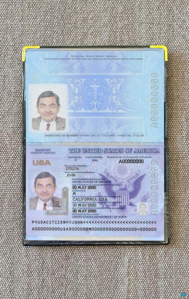 Профессиональный Скачать USA Паспорт 2020 2023 Фотоэффект Photoshop Шаблон