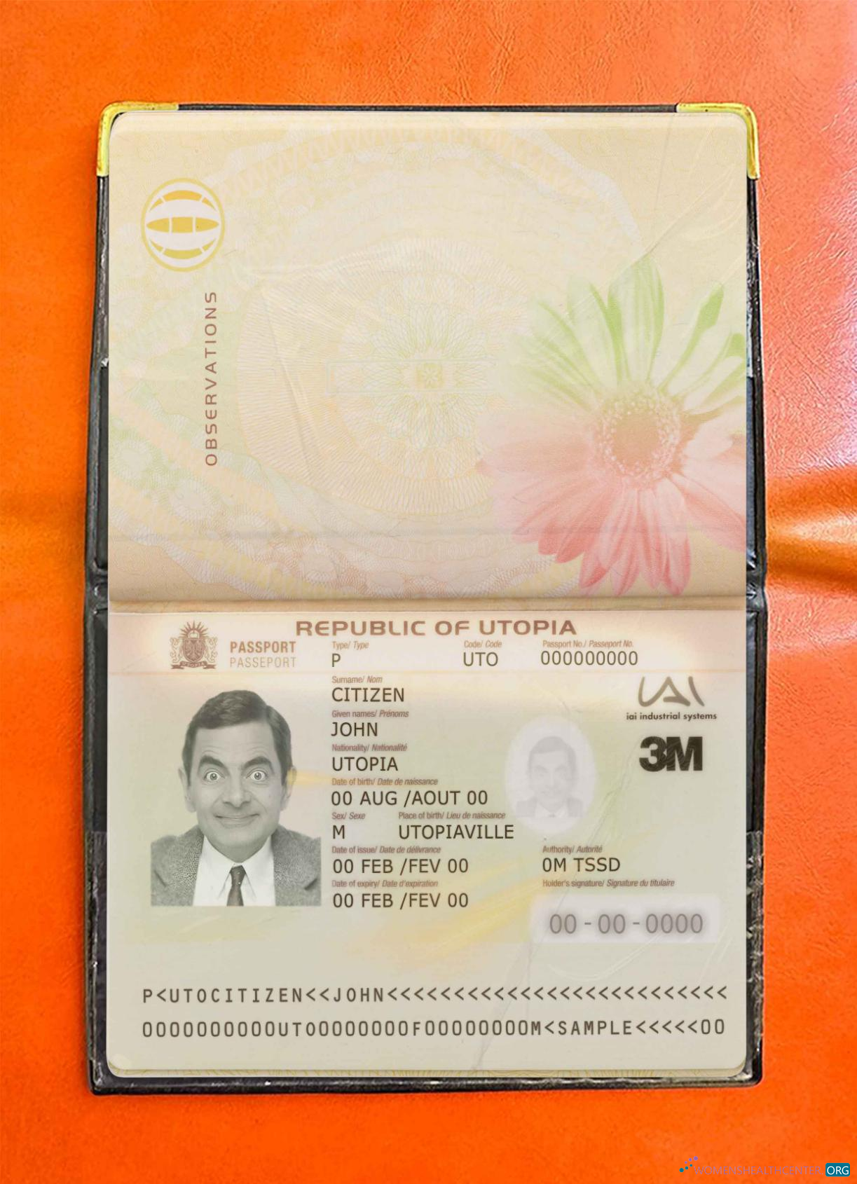 Редактируемый Скачать Utopia Pass Photo Look Photoshop Шаблон
