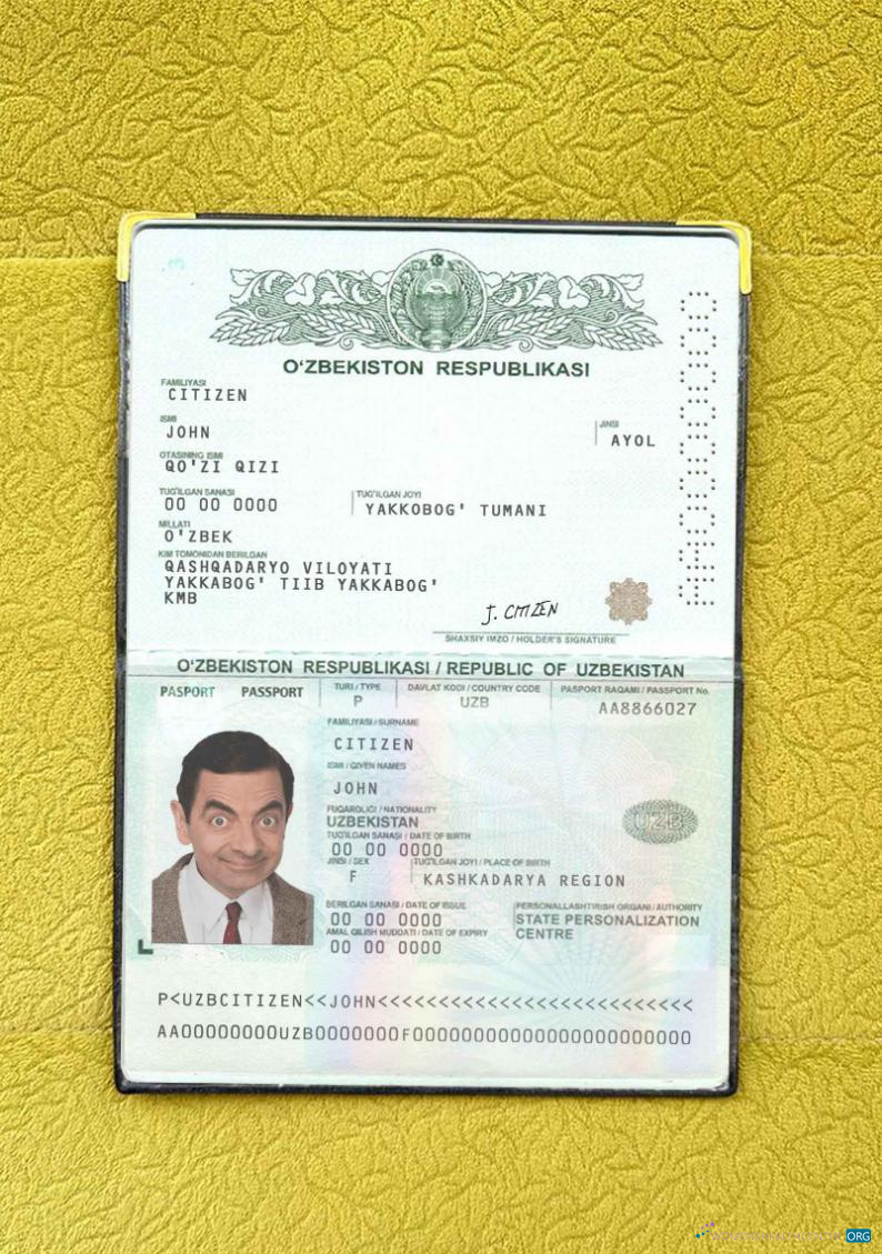 Качественный Скачать Узбекистан Pass Photo Look Photoshop Шаблон