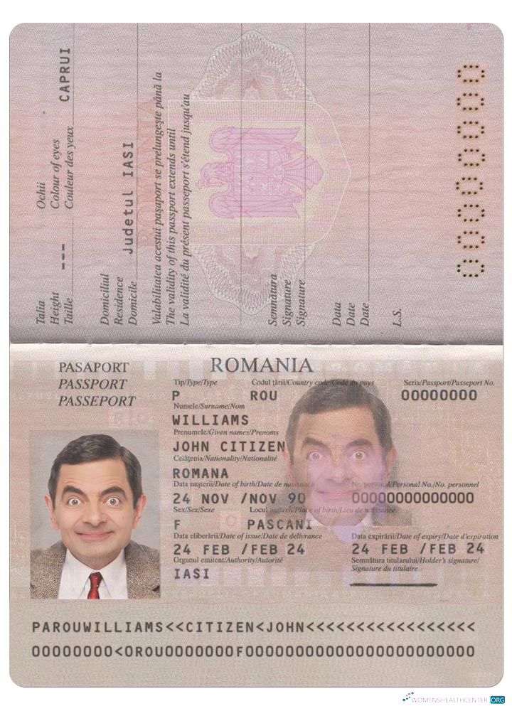Редактируемый Скачать Румыния Pass 2013 Настоящее Время Photoshop Шаблон