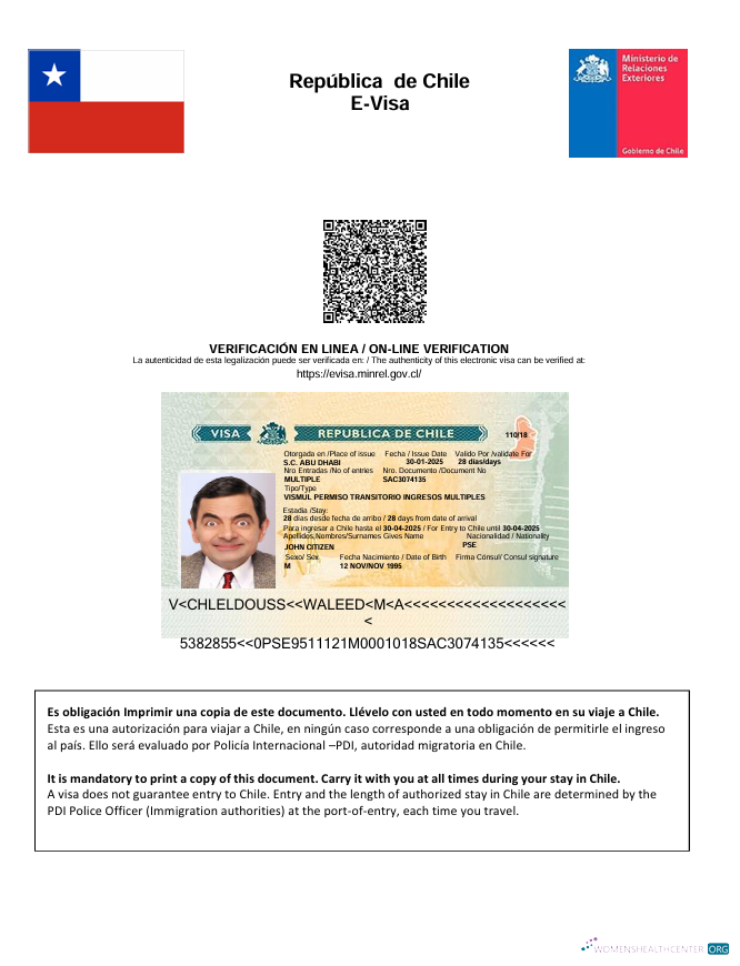 Modifiable Télécharger Chili E Visa Modèle dans Word et PDF Formats Photoshop Modèle