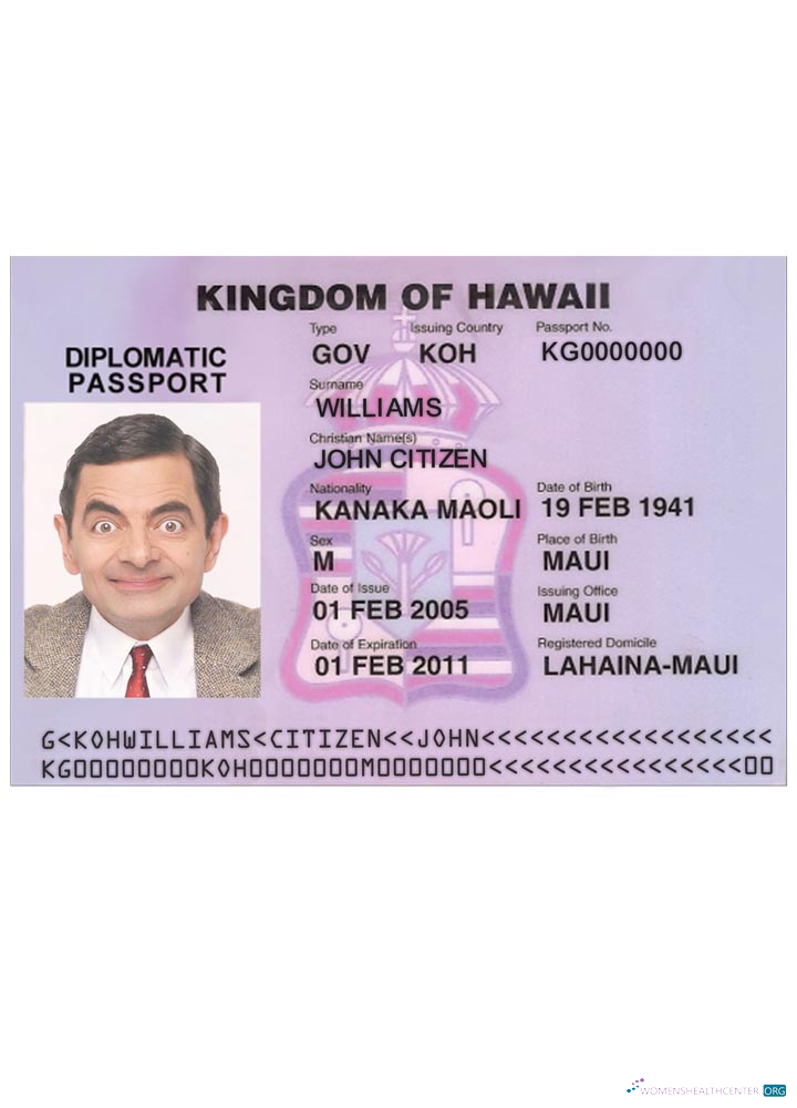 Professionnel Télécharger HAWAII Visa Photoshop Modèle