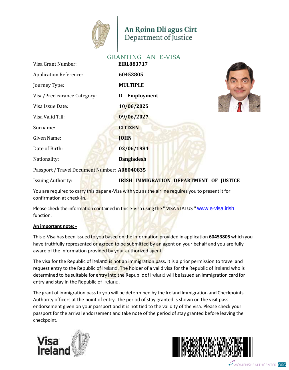 Qualité Télécharger Irlande E Visa Modèle dans Word et PDF Formats Photoshop Modèle