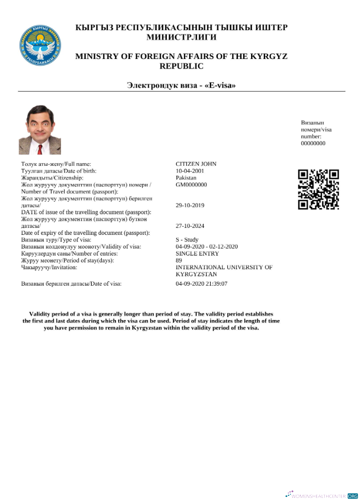 Modifiable Télécharger Kirghizistan E Visa dans Word et PDF Modèle Photoshop Modèle