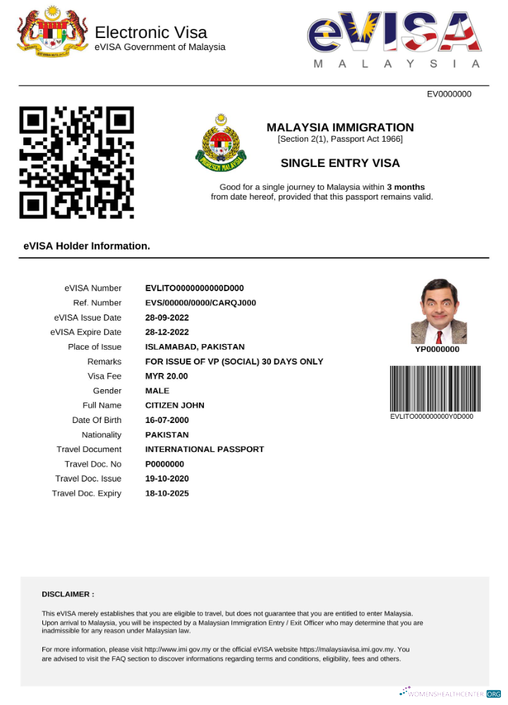 Modifiable Télécharger Malaisie E Visa dans Word et PDF Modèle Photoshop Modèle