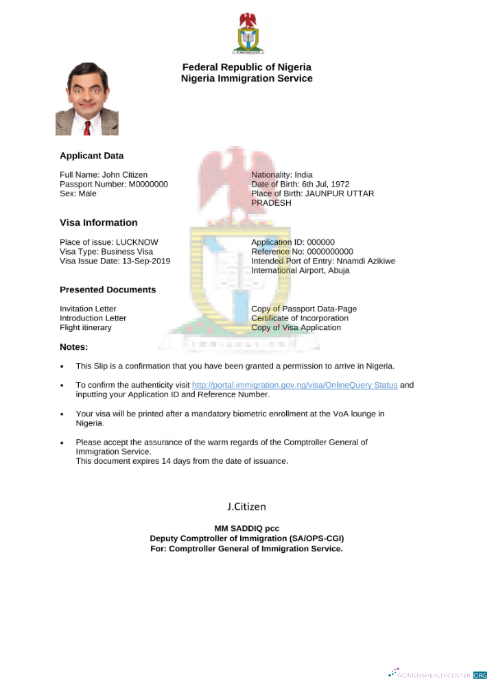 Premium Télécharger Nigeria E Visa dans Word et PDF Modèle Photoshop Modèle