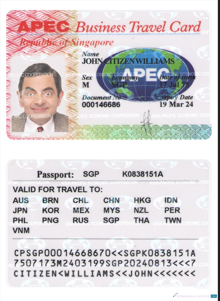 Professionnel Télécharger Singapour Entreprise Voyage Carte Photoshop Modèle