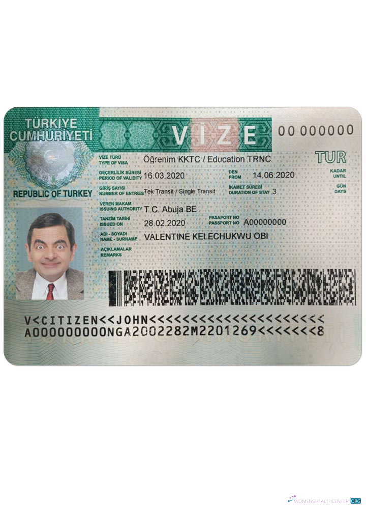 Professionnel Télécharger Turquie Visa Photoshop Modèle