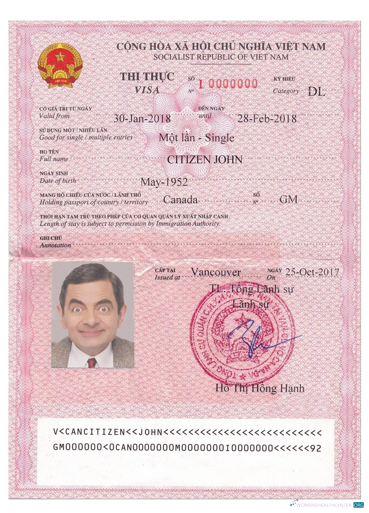 Qualité Télécharger VIET NAM Visa Version 2 Photoshop Modèle