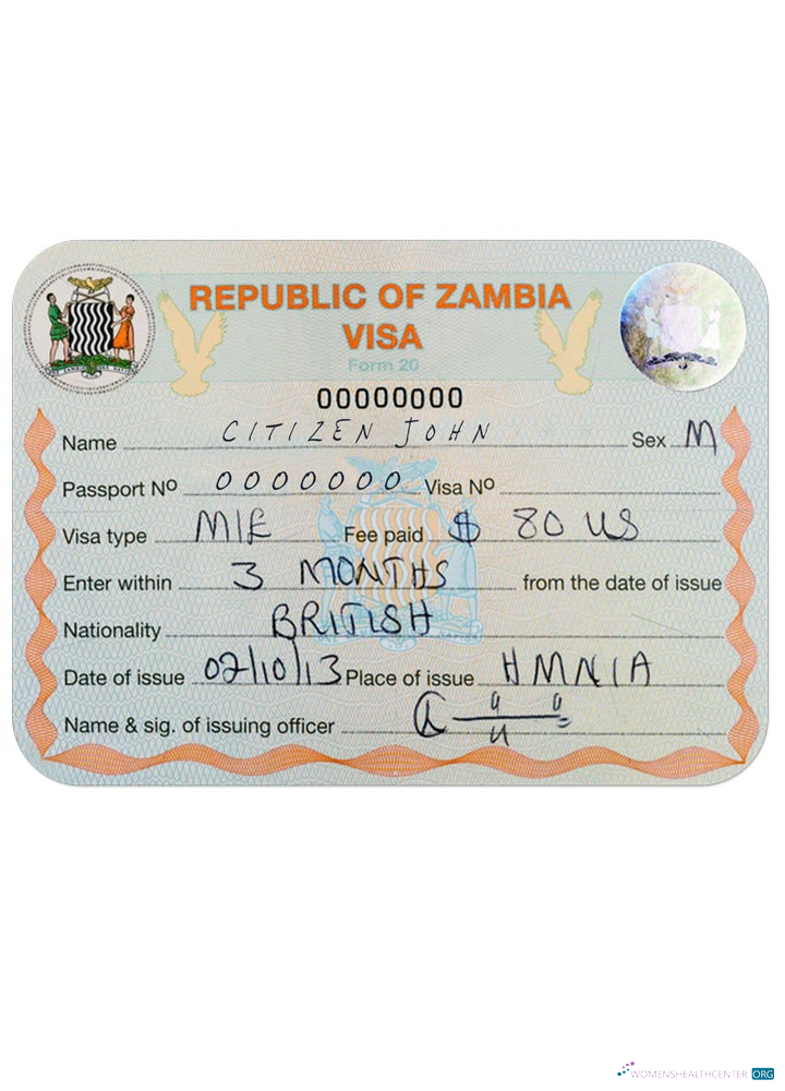 Qualité Télécharger Zambie Visa Photoshop Modèle