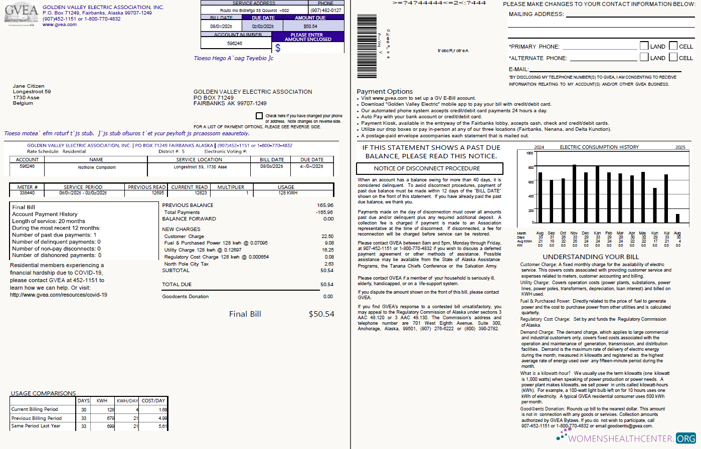 Editierbare Belgien Golden Valley Electric Association Nebenkostenabrechnung Vorlage in Word und PDF Formats, 2 Seiten