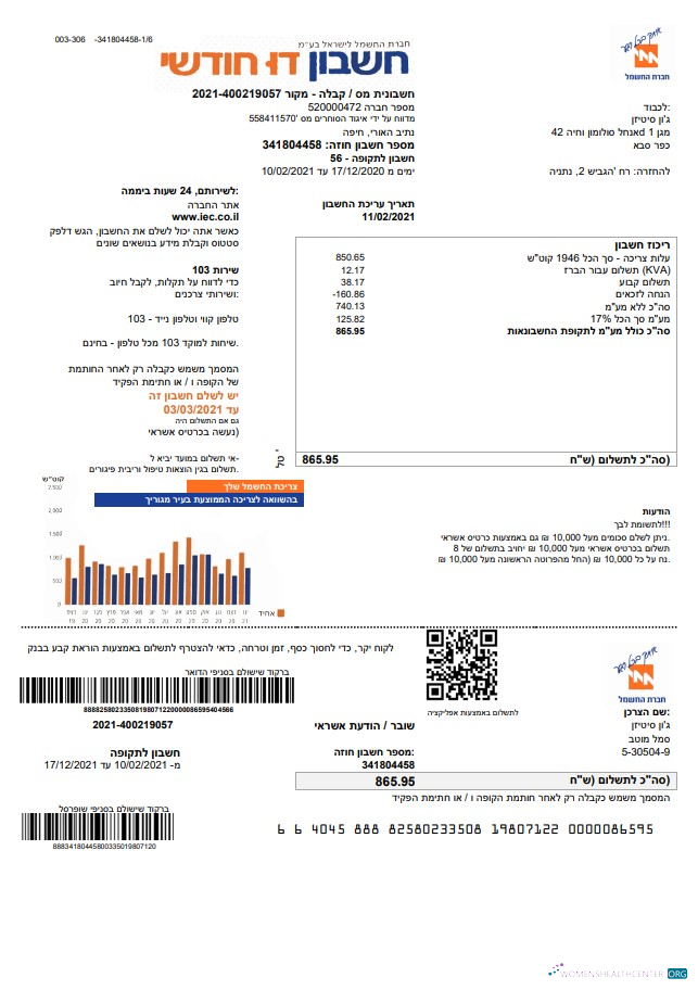 Professionelle Israel Electric Konzern Nebenkostenabrechnung Vorlage in Word und PDF Format (.doc und .PDF) in Hebrew